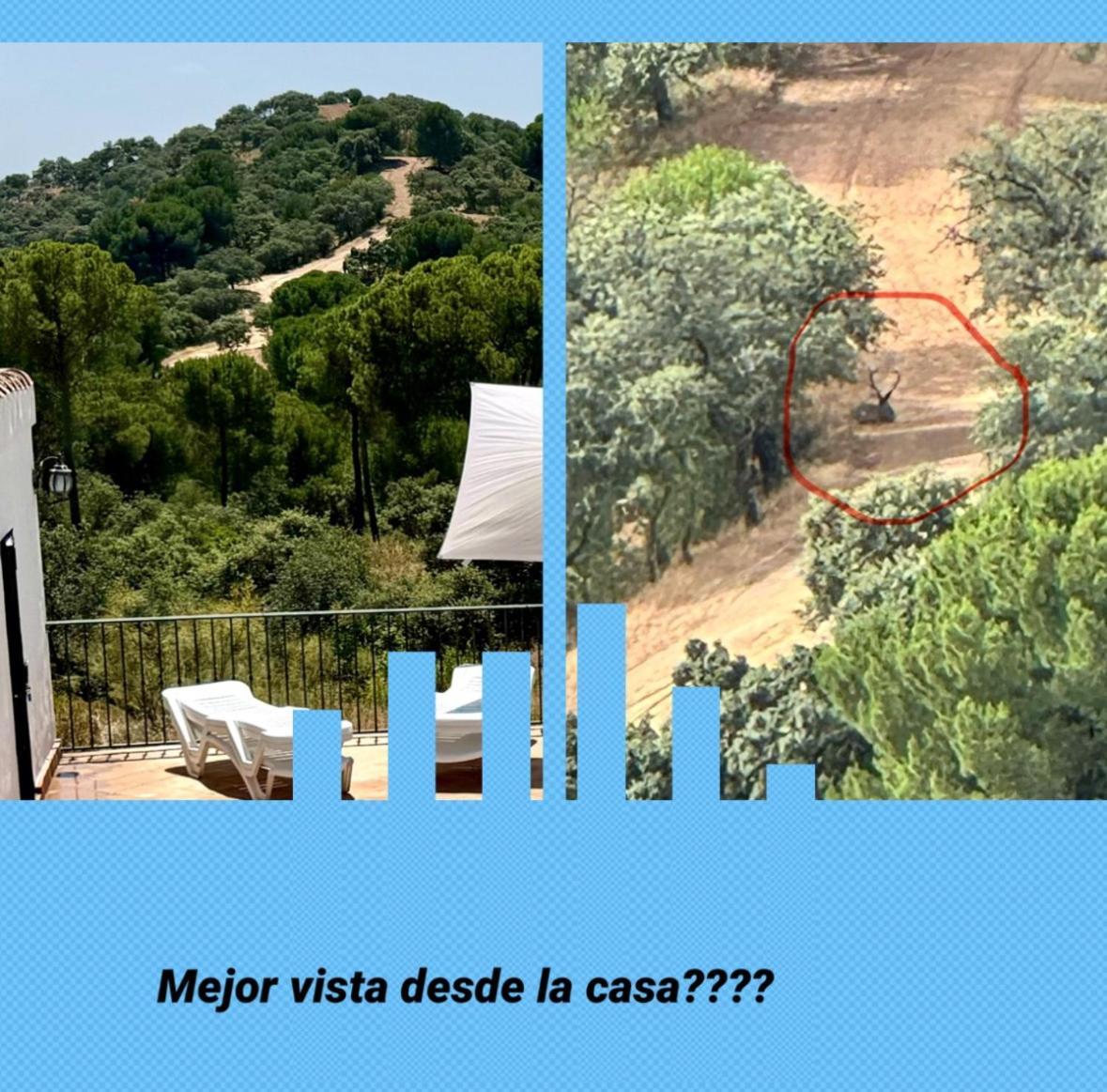 Casarural Sierramorena Dos Encinas Andújar Exterior foto