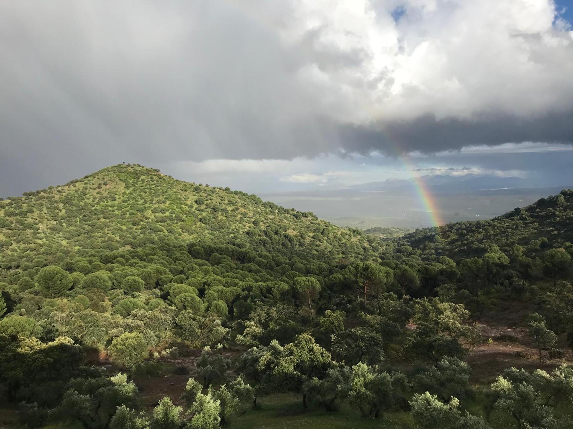 Casarural Sierramorena Dos Encinas Andújar Exterior foto